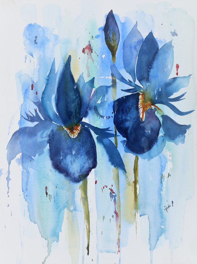 jodi_blue-irises-watercolor